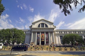 American_Museum_of_Natural_History