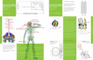 Sensors Biologic analysis